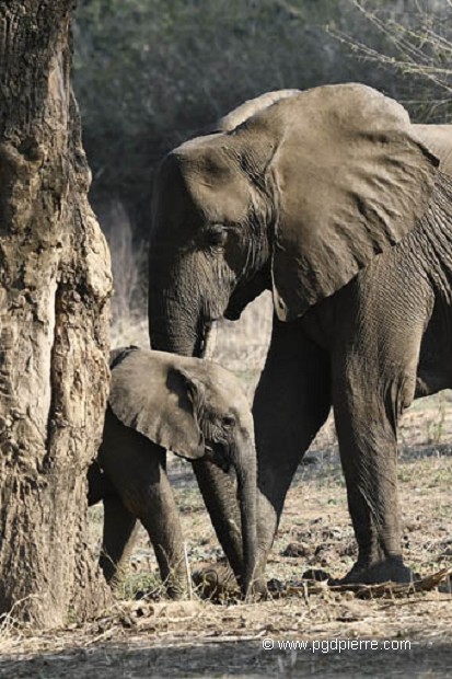 Maman et bébé